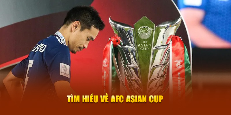 18win Ws168 Đá Gà