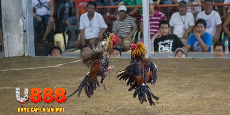 18win đăng nhập mậu binh khuyến mãi
