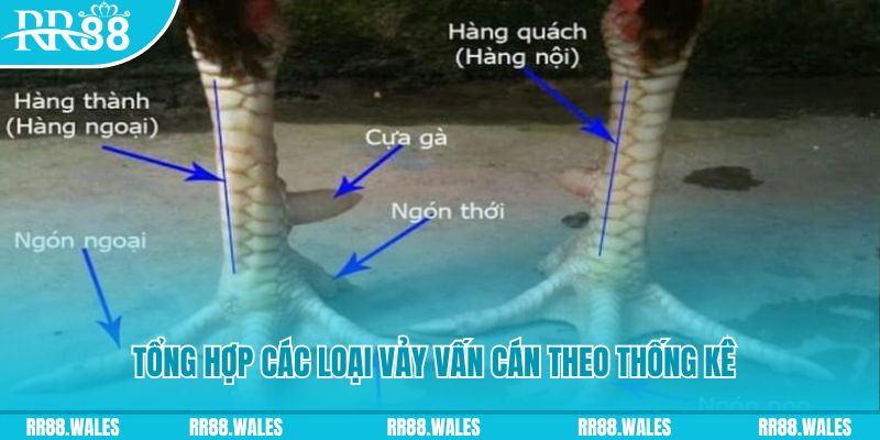 18win casino hồ tràm có cho người việt vào không