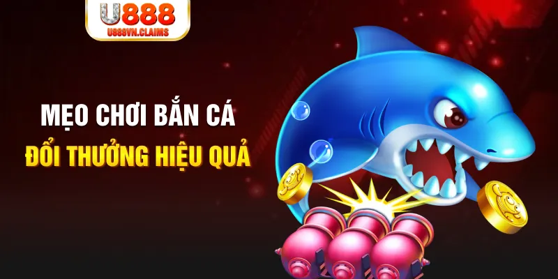 18win gà chọi cam ranh