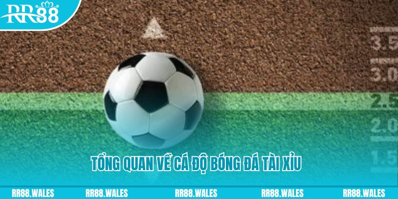 18win đăng nhập roulette online