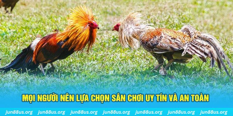 18win Cỡ bảy