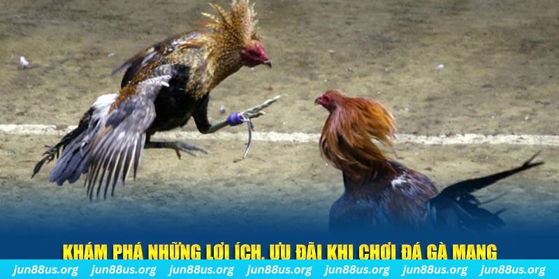 18win đăng nhập liêng live