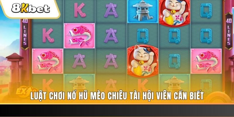 18win gà chọi cu cần