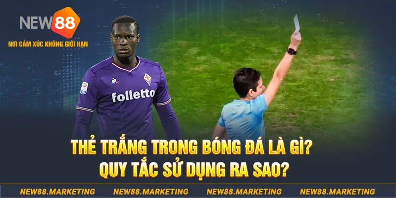 18win đăng nhập sòng bạc hôm nay