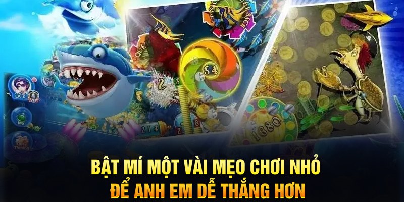 18win xổ số thứ ba
