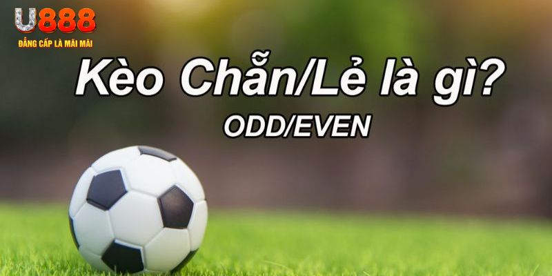 18win đăng nhập sòng bạc 2024