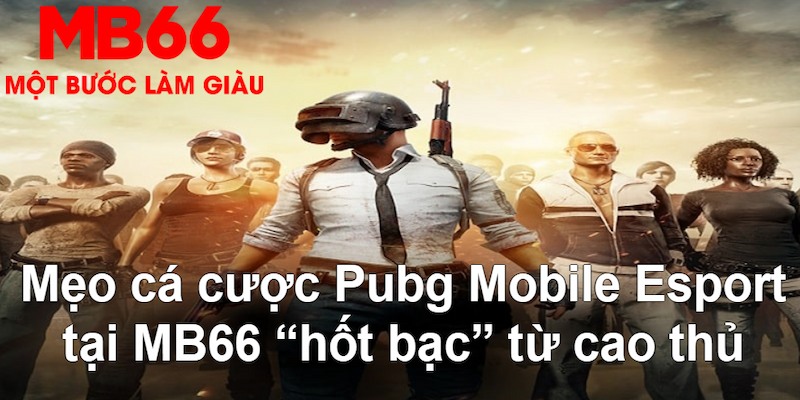 18win đăng nhập poker hàng đầu