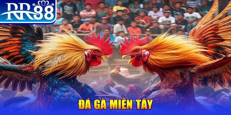 18win người chia bài trong casino gọi là gì