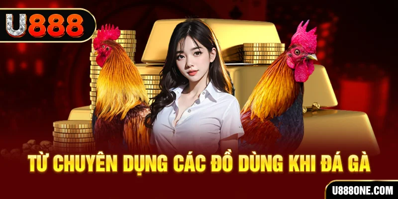 18win đá gà trực tiếp campuchia